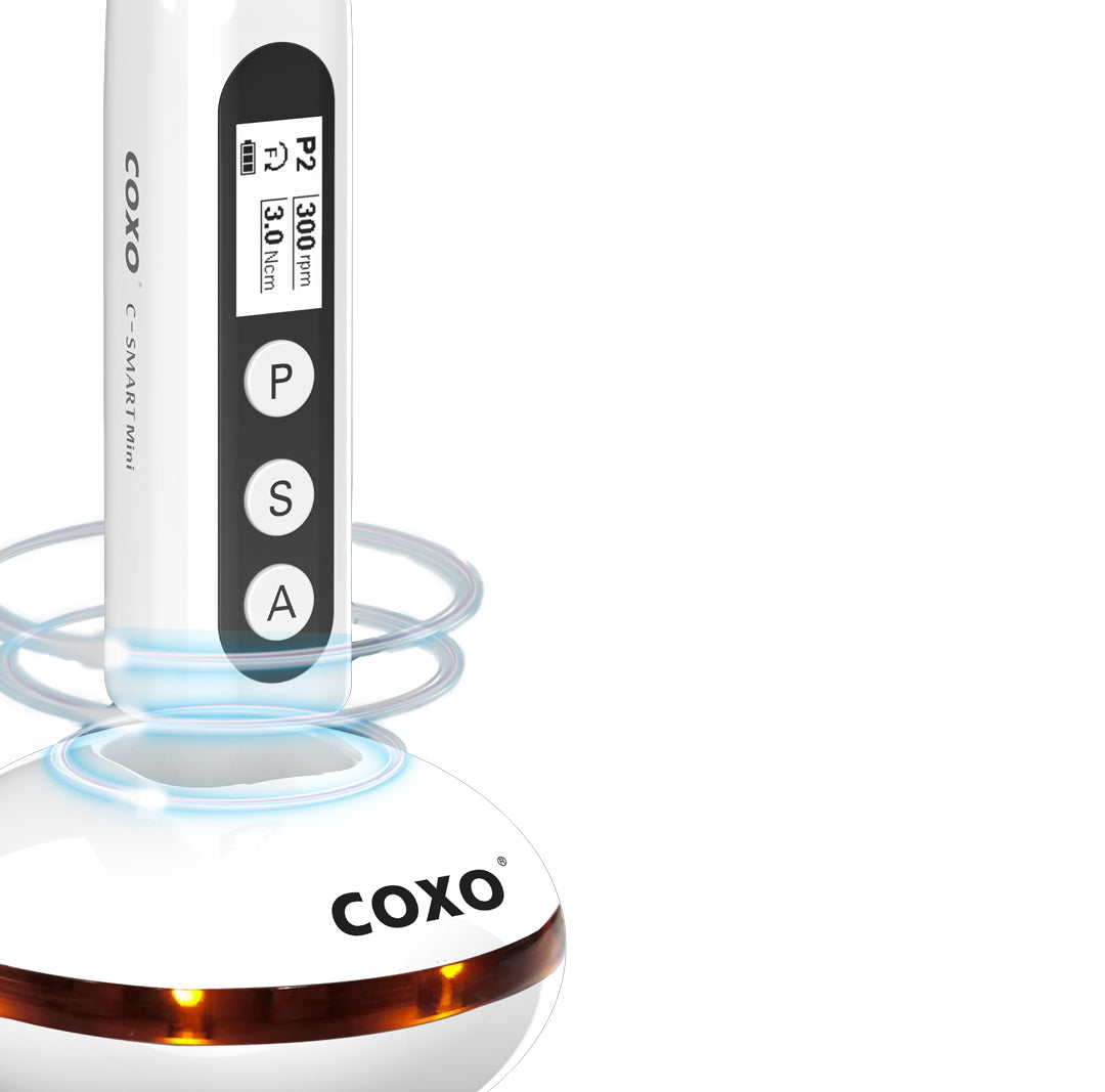 COXO C-SMART-MINI Endo motors